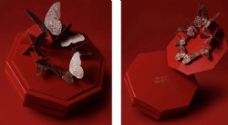 Cosmetics box
